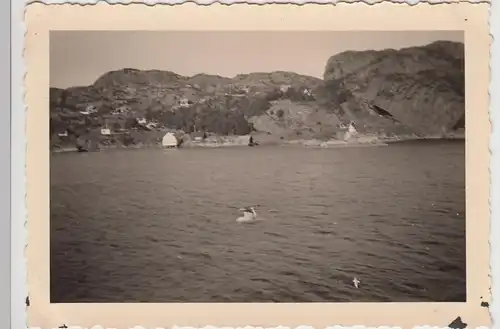 (F29930) Orig. Foto Hardangerfjord, Blick vom Dampfer 1930er