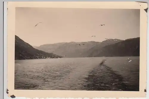 (F29926) Orig. Foto Hardangerfjord, Blick vom Dampfer 1930er