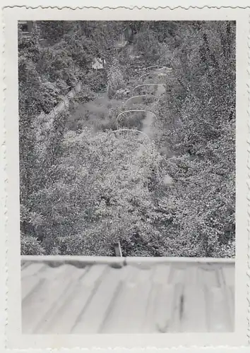 (F29660) Orig. Foto Buer, Garten am Wohnhaus Springestraß3 35, 1935