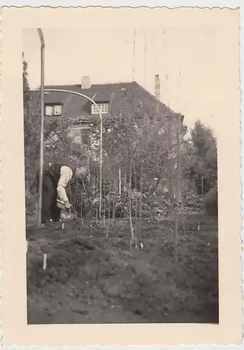 (F29595) Orig. Foto Mann arbeitet im Garten in Buer, Springestraße 35, 1935