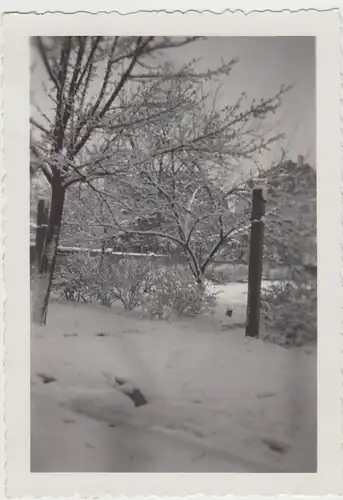 (F29587) Orig. Foto verschneiter Garten in Buer, Springestraße 35, 1935