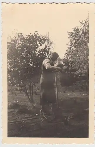 (F29248) Orig. Foto Mann arbeitet im Garten 1940