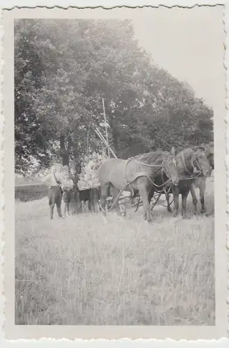 (F29245) Orig. Foto Personen mit Pferdefuhrwerk, Landwirtschaft 1940