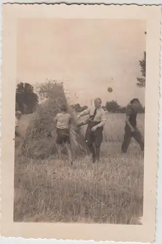 (F29244) Orig. Foto Personen stellen Getreidegarben auf 1940