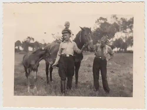(F29200) Orig. Foto Jungs mit Pferden 1934
