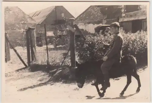 (F29064) Orig. Foto deutscher Soldat reitet auf Esel 1940