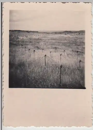 (F28936) Orig. Foto Maginot-Linie, mit Stacheldraht überzogenes Feld 1930er