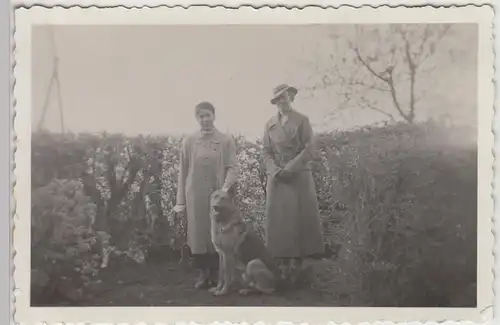 (F28908) Orig. Foto Frauen mit Hund im Freien 1930er