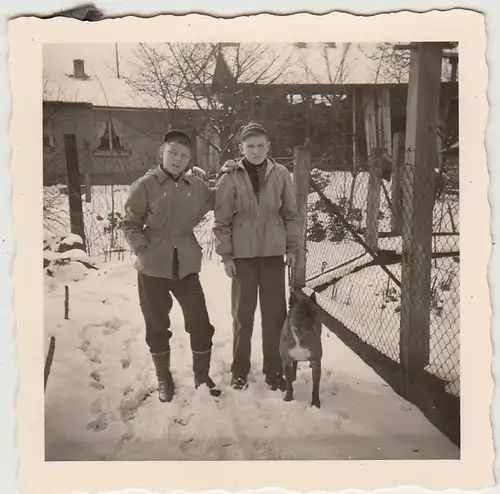 (F28882) Orig. Foto Jungs mit Hund im verschneiten Garten 1950er