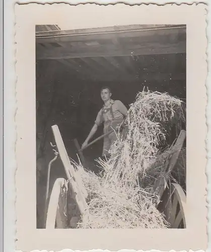 (F28699) Orig. Foto junger Mann beim Heu Abladen 1930er