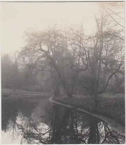 (F28561) Orig. Foto Potsdam, Partie im Park Sanssouci 1929