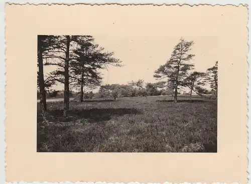 (F28407) Orig. Foto Truppenübungsplatz Munsterlager, 1935