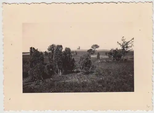 (F28402) Orig. Foto Truppenübungsplatz Munsterlager, 1935