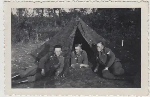 (F28397) Orig. Foto Truppenübungsplatz Munsterlager, Zelten im Felde 1935