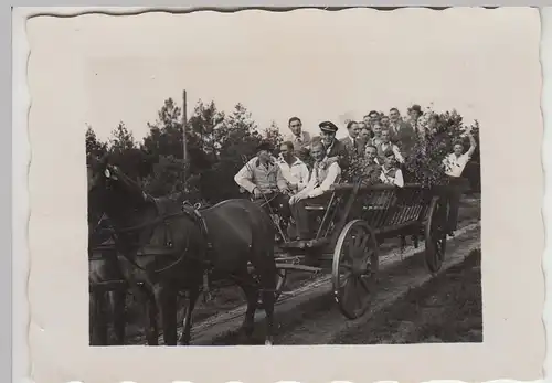 (F28372) Orig. Foto Fassberg Lün. Heide, Kutschfahrt zum Vatertag 1936