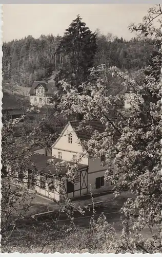 (F2833) Orig. Foto Ortschaft m. Fachwerkhäusern, unbek.