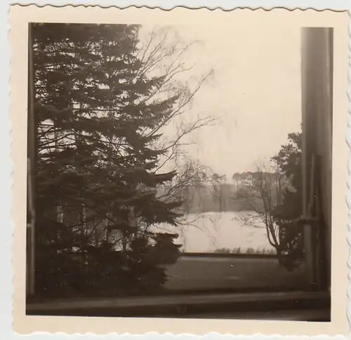 (F28225) Orig. Foto Berlin, Blick aus dem Wannseeheim 1955