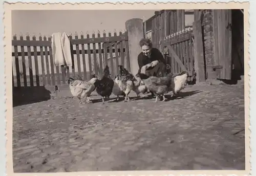 (F28173) Orig. Foto junge Frau mit Hühnern 1943