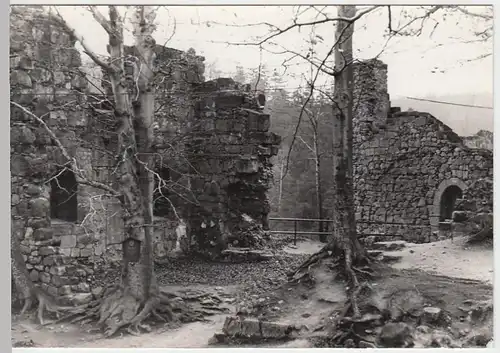 (F2813) Orig. Foto Oybin, Klosterruine, nach 1945