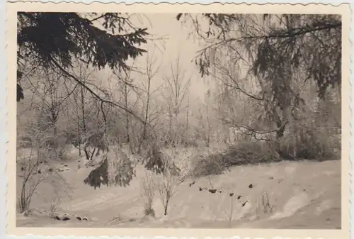 (F28129) Orig. Foto Winter in Burgwedel 1939