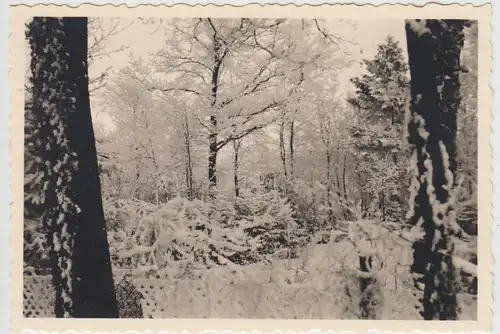 (F28127) Orig. Foto Winter in Burgwedel 1939