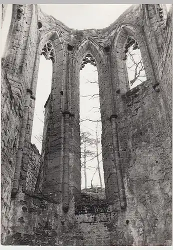 (F2812) Orig. Foto Oybin, Klosterruine, nach 1945