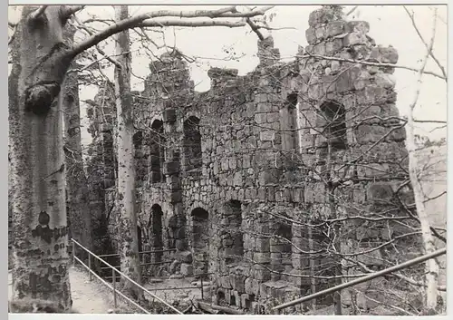 (F2811) Orig. Foto Oybin, Klosterruine, nach 1945