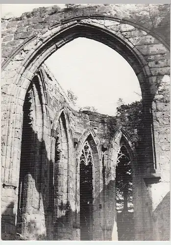 (F2810) Orig. Foto Oybin, Klosterruine, nach 1945