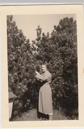 (F28092) Orig. Foto junge Frau an einem Baum 1939