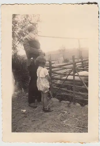 (F28067) Orig. Foto Mann mit Kinder an einem Schweinegatter 1930/40er