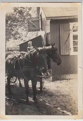 (F28026) Orig. Foto Pferdegespann, Kind sitzt auf Pferd 1930er