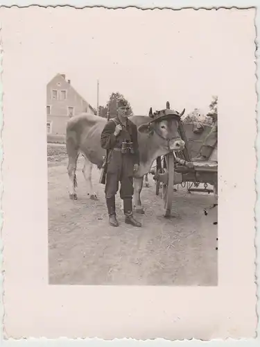 (F27937) Orig. Foto deutscher Soldat mit Rind am Leiterwagen 1940