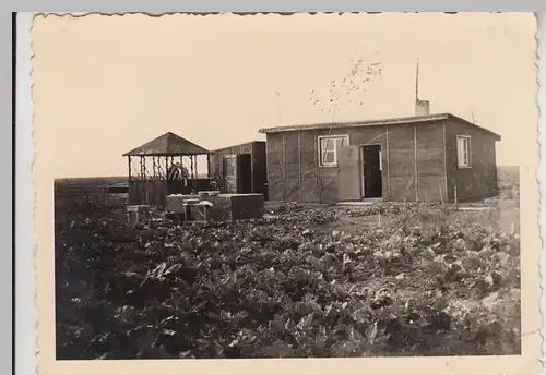 (F27904) Orig. Foto deutsche Stellung in Dieskau 1940