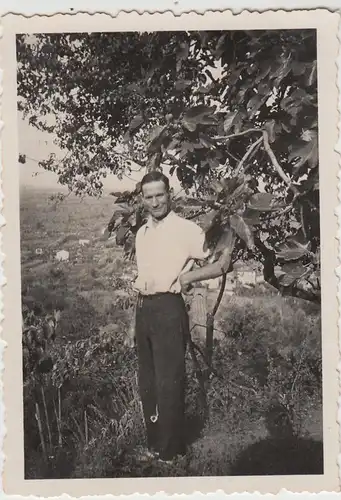 (F27852) Foto Mann unterm Feigenbaum in Süditalien 1938