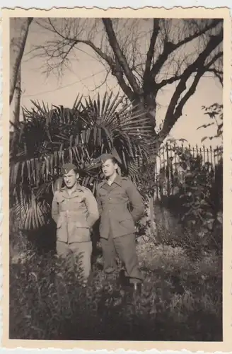 (F27838) Orig. Foto deutsche Soldaten vor Palmen 1930er