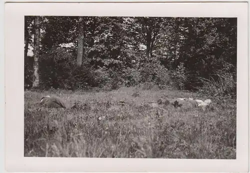 (F27792) Orig. Foto Soldaten liegen auf Wiese in Gotendorf, Choczewo 1940er