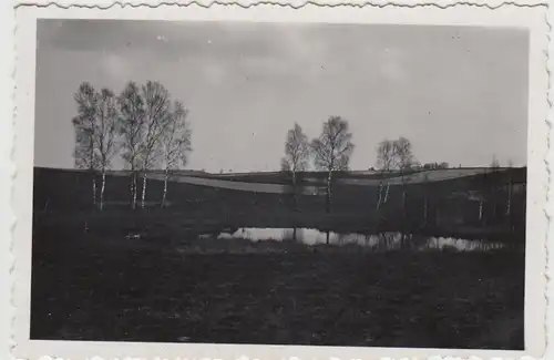 (F27785) Orig. Foto Landschaft in Roslasin Pommern 1940er