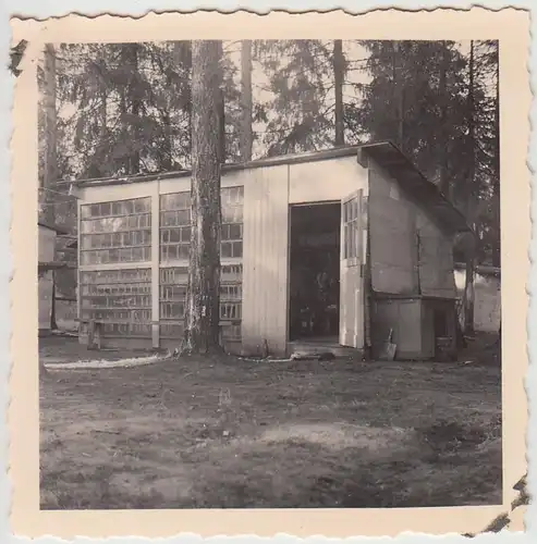 (F27732) Orig. Foto Ostfront 1940er, Gebäude in einem Waldlager