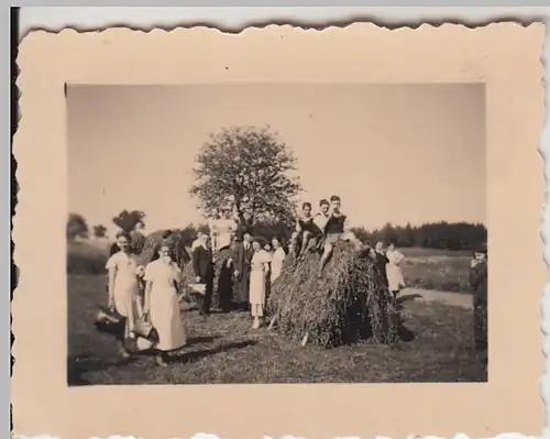 (F27490) Orig. Foto Personen auf dem Feld, Haufen zum Trocknen 1930er