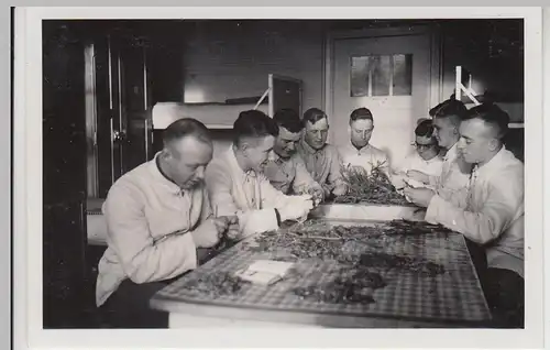 (F27330) Foto Marburg, Tannenbergkaserne, Bäumchenschnitzen f. Diorama 1938