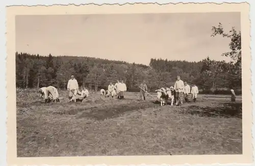 (F27321) Orig. Foto Schwarzthal i. Sudetenland, Soldaten bei Erntehilfe 1938