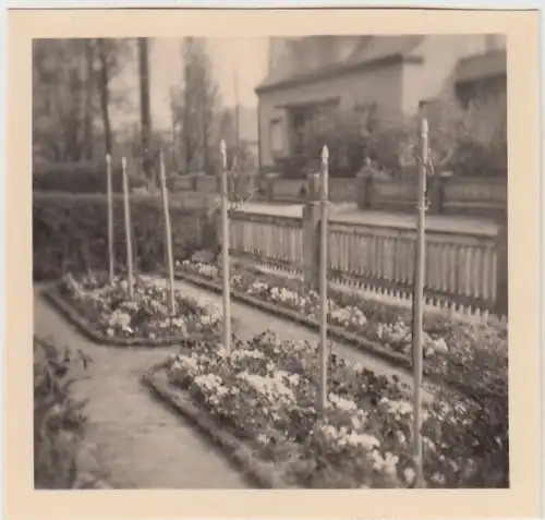 (F27101) Orig. Foto Vorgarten mit Blumenbeeten in Kyritz 1956