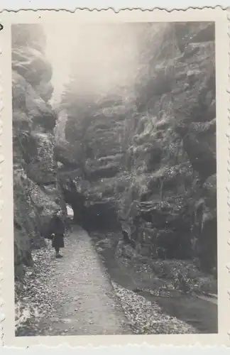 (F27097) Orig. Foto Sächsische Schweiz, Zscherregrund 1956