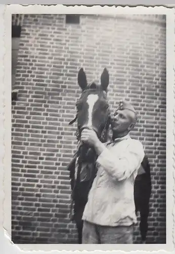 (F26956) Foto deutscher Soldat mit Pferd auf Truppenübungsplatz Munster 1937