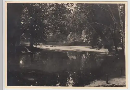 (F26922) Orig. Foto Stadtpark Fürth, Schwanenweiher 1930/40er