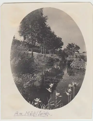 (F26877) Orig. Foto Landschaft, Mühlteich bei Fürth 1920er