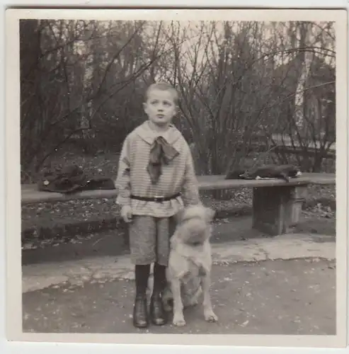 (F26856) Orig. Foto Junge mit Hund im Stadtpark Fürth 1926
