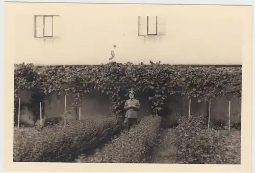 (F26739) Orig. Foto deutscher Soldat am bewachsenen Haus 1939