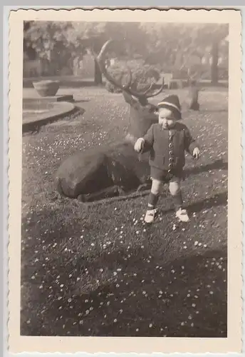 (F26671) Orig. Foto Barmen, kleiner Junge vor Hirsch-Skulptur, Klinikum 1951