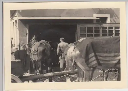 (F26597) Orig. Foto Pferdegespann, Pferde m. Decke an Scheune 1940